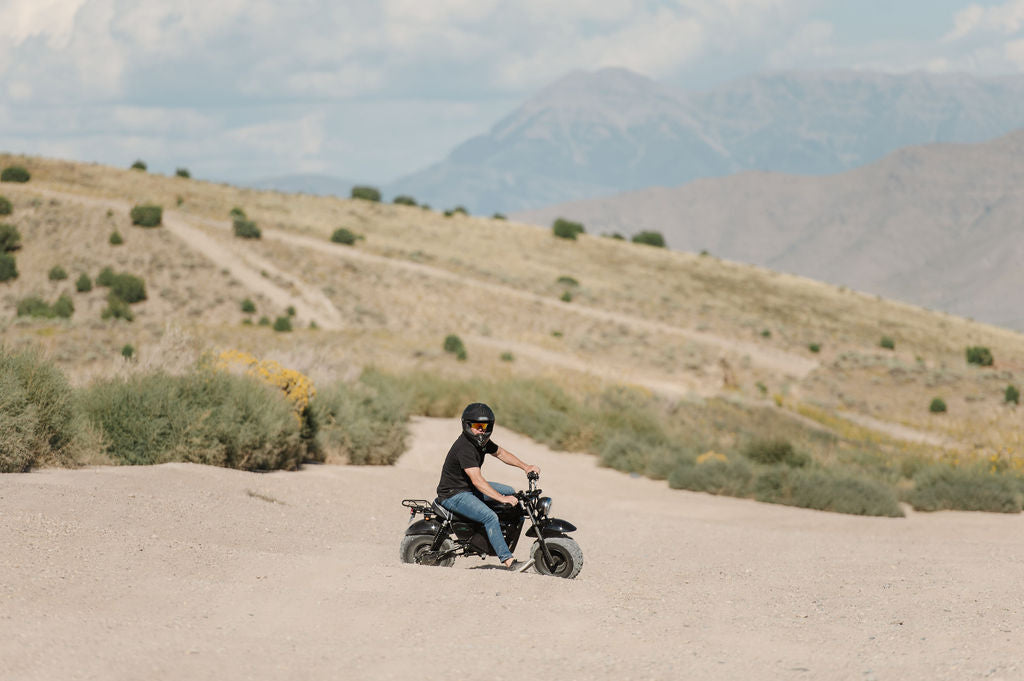 1500W Electric Mini Bike