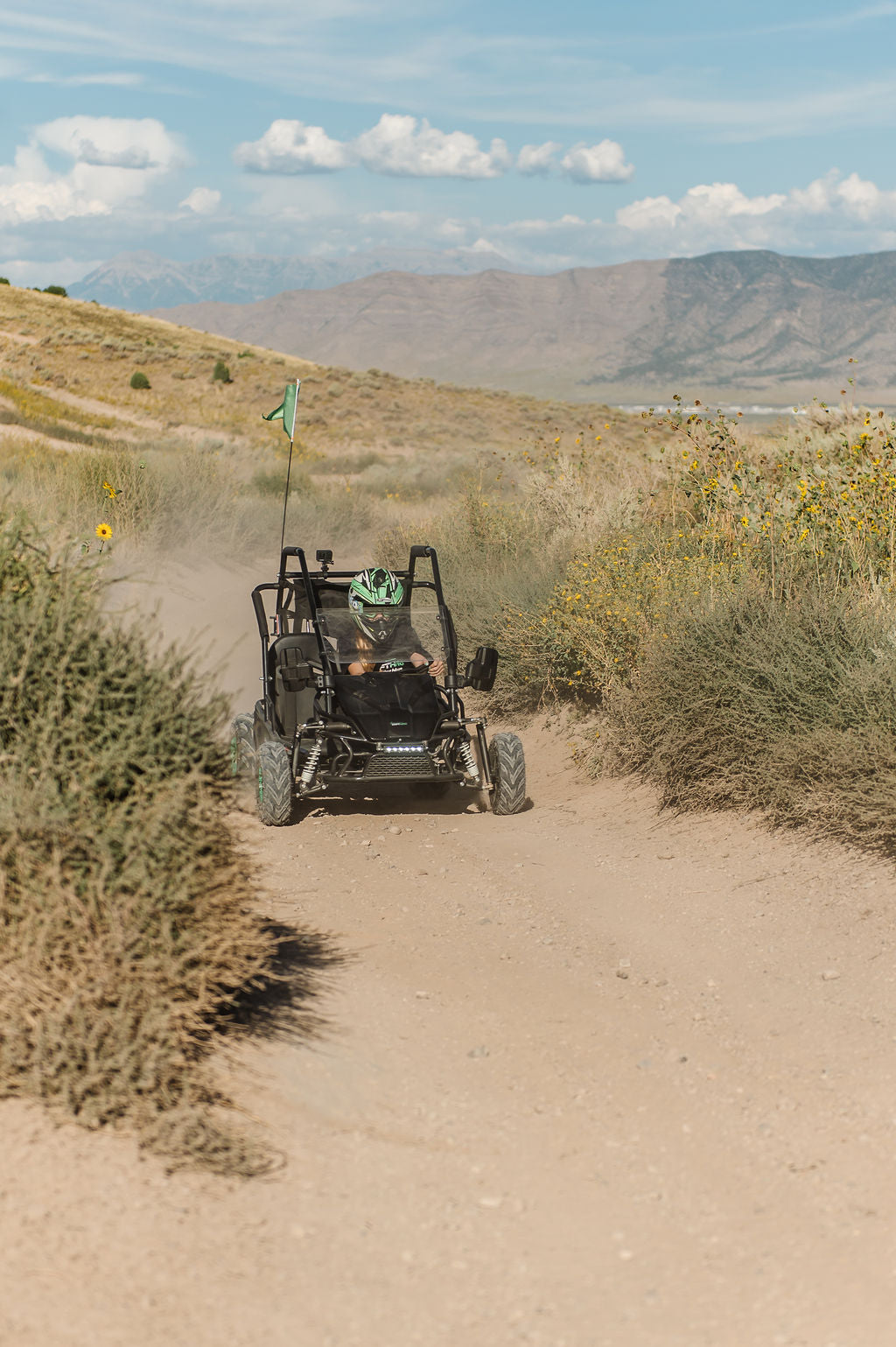Gas Go-Kart (2 Seat)