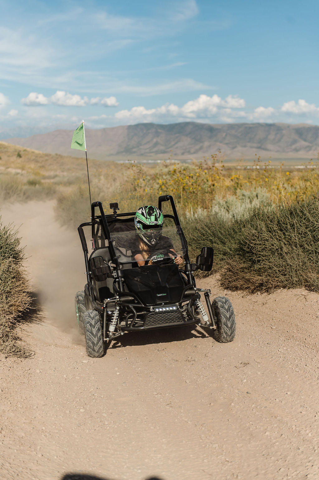 Gas Go-Kart (2 Seat)