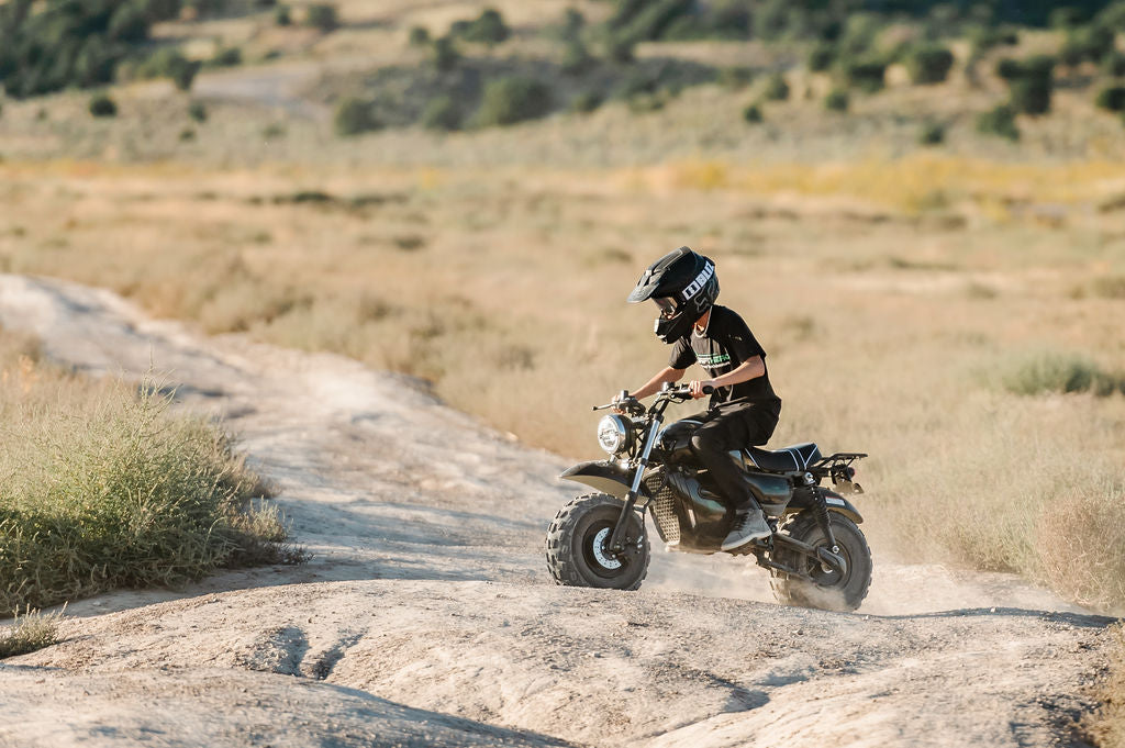 1500W Electric Mini Bike