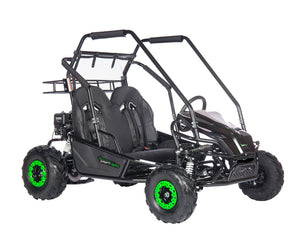 Electric Go-Kart (2 Seat)