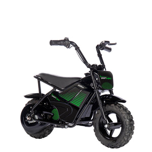 250W Youth Mini Bike