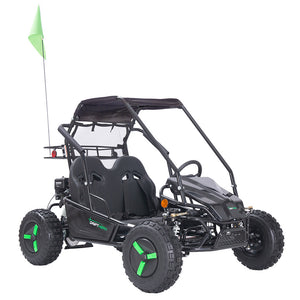Gas Go-Kart (2 Seat)