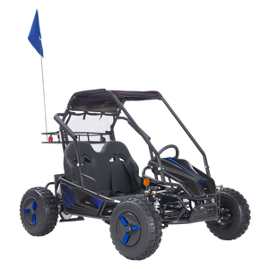 Color Variations (Blue, Orange, Pink, Yellow, Red, or Green) - Stickers, Flag, Wheel Covers - 2 Seat Go Kart (EV or Gas)