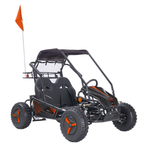 Color Variations (Blue, Orange, Pink, Yellow, Red, or Green) - Stickers, Flag, Wheel Covers - 2 Seat Go Kart (EV or Gas)