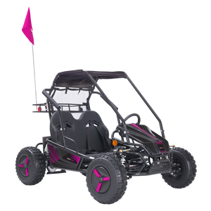 Color Variations (Blue, Orange, Pink, Yellow, Red, or Green) - Stickers, Flag, Wheel Covers - 2 Seat Go Kart (EV or Gas)