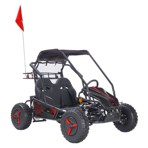 Color Variations (Blue, Orange, Pink, Yellow, Red, or Green) - Stickers, Flag, Wheel Covers - 2 Seat Go Kart (EV or Gas)