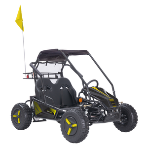 Color Variations (Blue, Orange, Pink, Yellow, Red, or Green) - Stickers, Flag, Wheel Covers - 2 Seat Go Kart (EV or Gas)