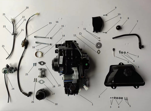 Fuel Filter - ATV Gas