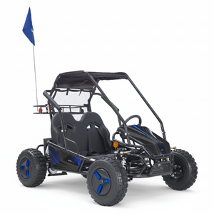 Color Variations - Sticker Kit, Flag, and Rims -  2 Seat Go Kart (EV or Gas)