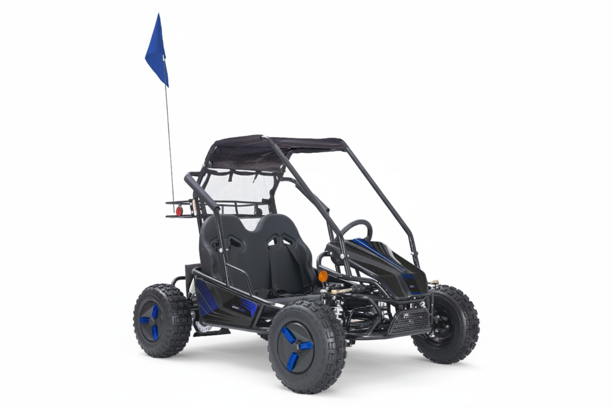 Color Variations - Sticker Kit, Flag, and Rims -  2 Seat Go Kart (EV or Gas)