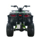 Electric 4 Wheeler - Utility