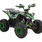 Electric 4 Wheeler - Sport
