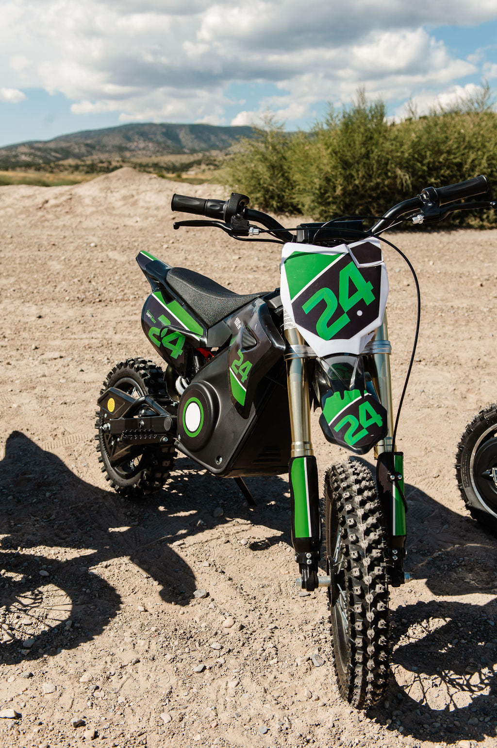 1000W Electric Dirt Bike