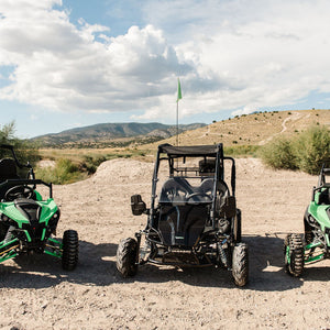 Electric Mini UTV (1 Seat)