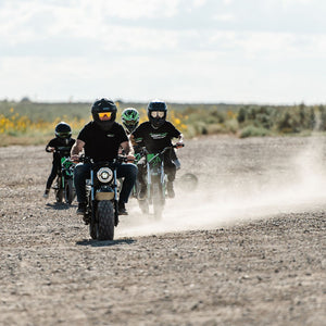 1500W Electric Mini Bike