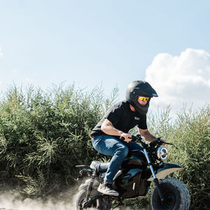 1500W Electric Mini Bike