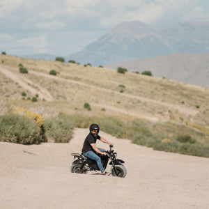 1500W Electric Mini Bike