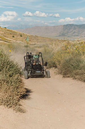 Electric Go-Kart (2 Seat)