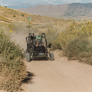 Electric Go-Kart (2 Seat)