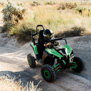 Electric Mini UTV (1 Seat)