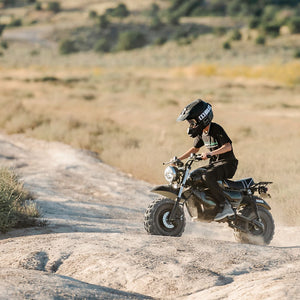 1500W Electric Mini Bike
