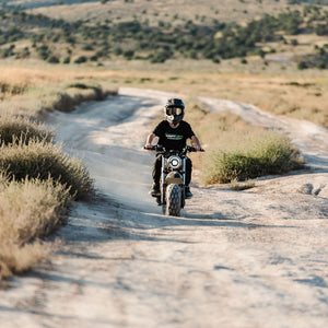 1500W Electric Mini Bike