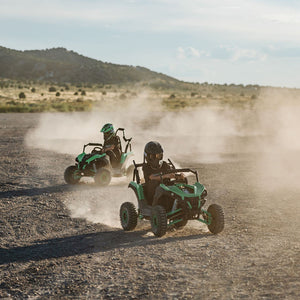 Electric Mini UTV (1 Seat)