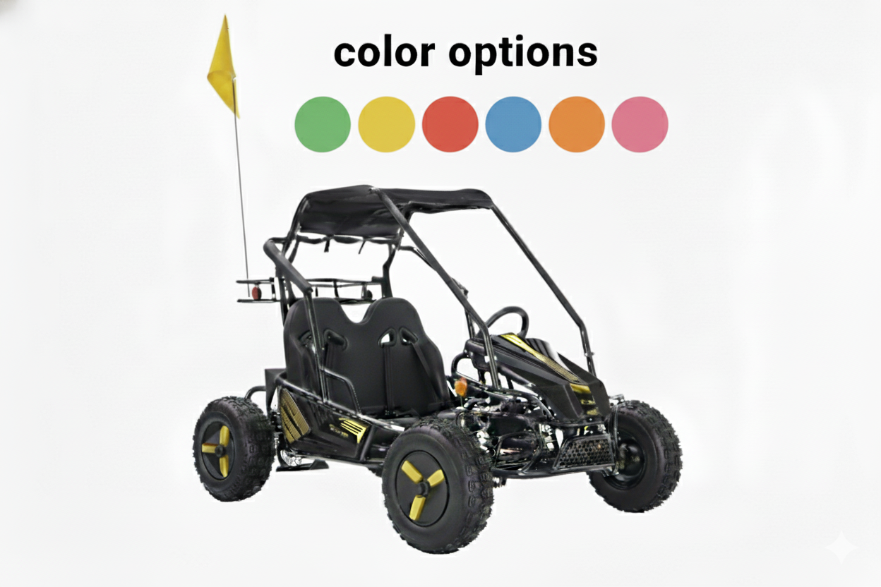 Color Variations - Sticker Kit, Flag, and Rims -  2 Seat Go Kart (EV or Gas)
