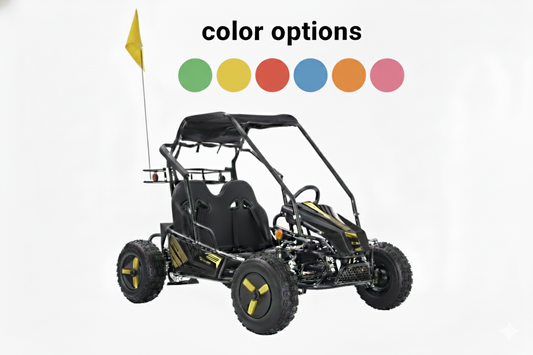 Color Variations - Sticker Kit, Flag, and Rims -  2 Seat Go Kart (EV or Gas)