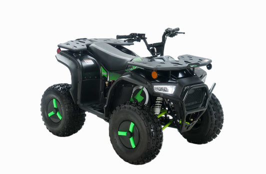 Electric 4 Wheeler - Utility