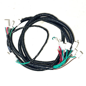 Main Wire Harness - 2 Seat Go-Kart (EV)