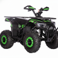 Gas 4 Wheeler - Utility