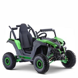 Electric Mini UTV (1 Seat)