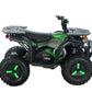 Electric 4 Wheeler - Utility