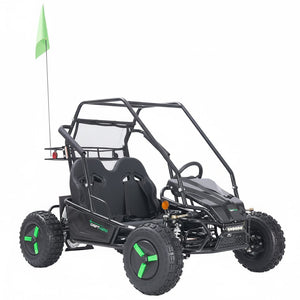 Electric Go-Kart (2 Seat)