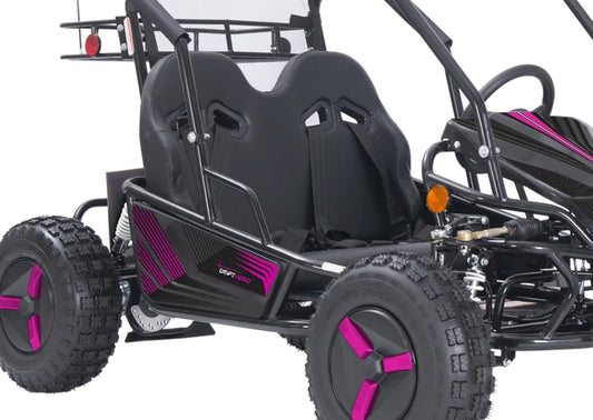 Color Variations (Blue, Orange, Pink, Yellow, Red, or Green) - Stickers, Flag, Wheel Covers - 2 Seat Go Kart (EV or Gas)