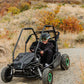 Gas Go-Kart (2 Seat)