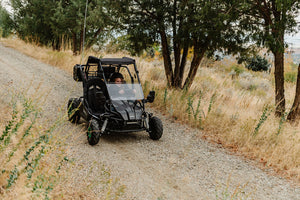 Electric Go-Kart (2 Seat)