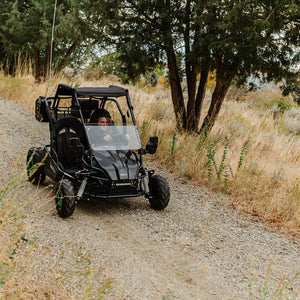 Electric Go-Kart (2 Seat)