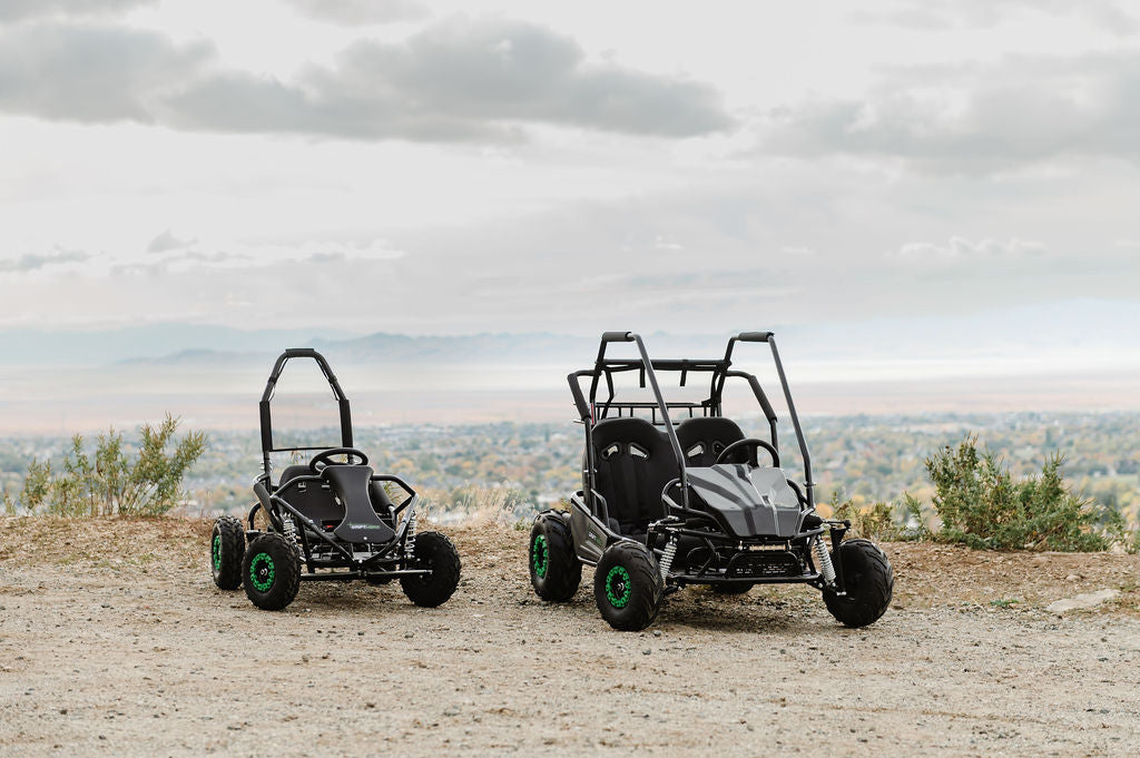 Gas Go-Kart (2 Seat)