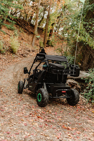 Electric Go-Kart (2 Seat)