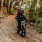 1600W Electric Dirt Bike