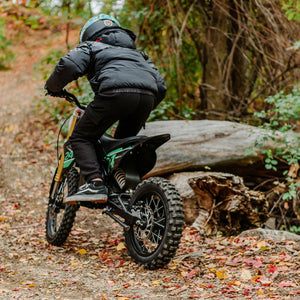 1600W Electric Dirt Bike