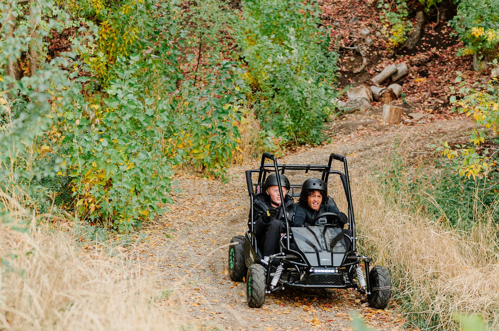 Gas Go-Kart (2 Seat)