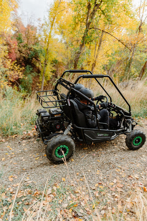 Gas Go-Kart (2 Seat)