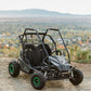 Gas Go-Kart (2 Seat)
