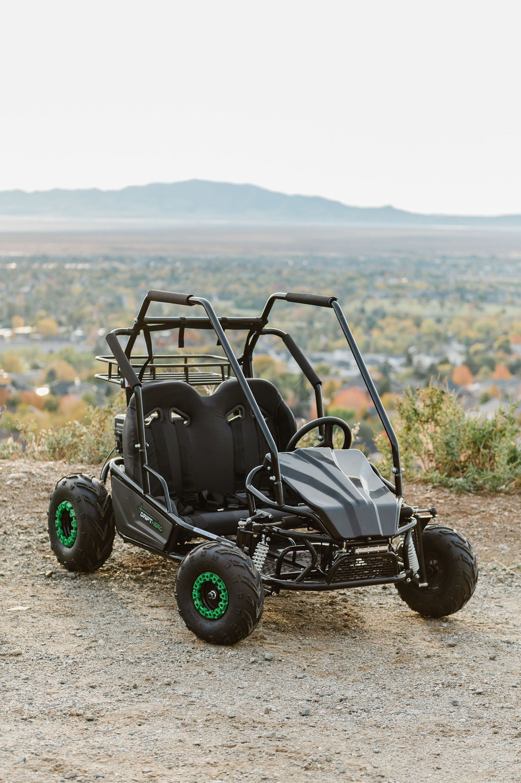 Gas Go-Kart (2 Seat)