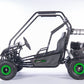 Gas Go-Kart (2 Seat)