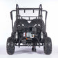Gas Go-Kart (2 Seat)
